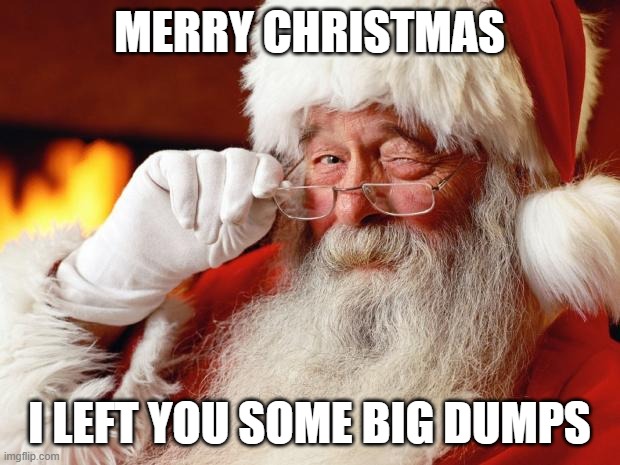 santa | MERRY CHRISTMAS; I LEFT YOU SOME BIG DUMPS | image tagged in santa | made w/ Imgflip meme maker