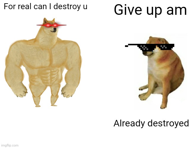 Cheers is beter Dan doge | For real can I destroy u; Give up am; Already destroyed | image tagged in memes,buff doge vs cheems | made w/ Imgflip meme maker