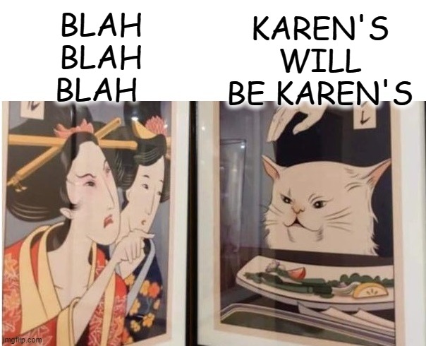 Blah Blah Blah | BLAH BLAH BLAH; KAREN'S WILL BE KAREN'S | image tagged in woman yelling at cat cartoon | made w/ Imgflip meme maker