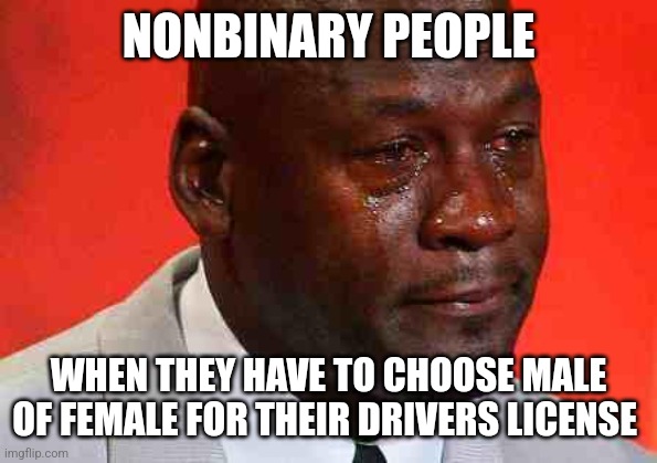 Nonbinary | NONBINARY PEOPLE; WHEN THEY HAVE TO CHOOSE MALE OF FEMALE FOR THEIR DRIVERS LICENSE | image tagged in crying michael jordan,lgbtq,funny memes | made w/ Imgflip meme maker