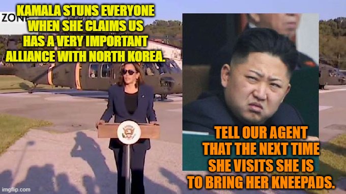 Maybe the Left can't meme, but they are the worlds best natural resource for meming. | KAMALA STUNS EVERYONE WHEN SHE CLAIMS US HAS A VERY IMPORTANT ALLIANCE WITH NORTH KOREA. TELL OUR AGENT THAT THE NEXT TIME SHE VISITS SHE IS TO BRING HER KNEEPADS. | image tagged in kneepads | made w/ Imgflip meme maker