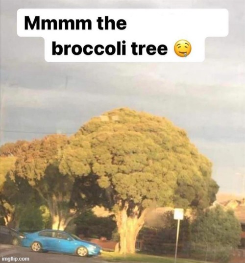 image tagged in puns | made w/ Imgflip meme maker