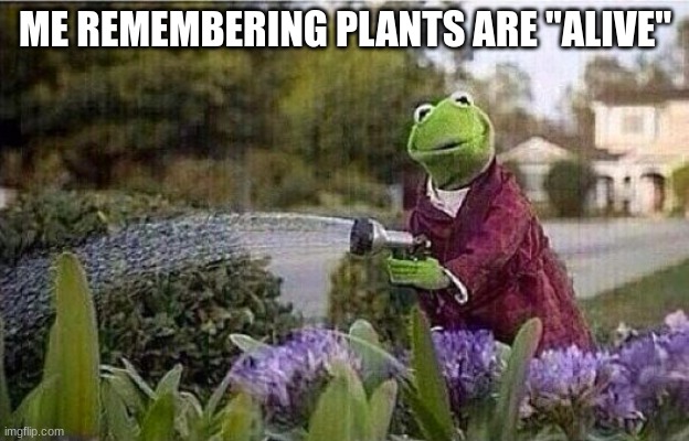 plants exist | ME REMEMBERING PLANTS ARE "ALIVE" | image tagged in kermit watering plants | made w/ Imgflip meme maker
