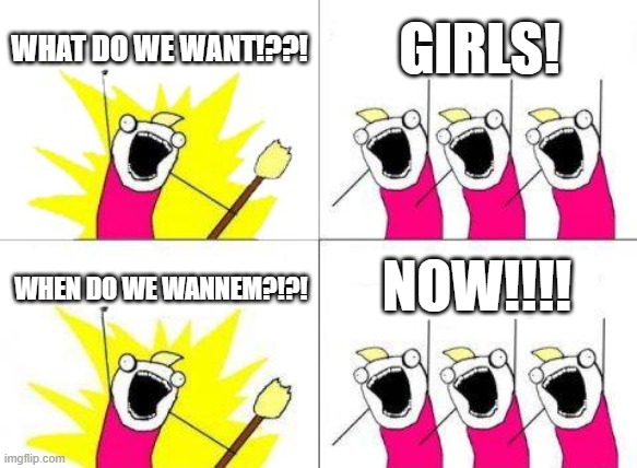 What Do We Want | WHAT DO WE WANT!??! GIRLS! NOW!!!! WHEN DO WE WANNEM?!?! | image tagged in memes,what do we want | made w/ Imgflip meme maker