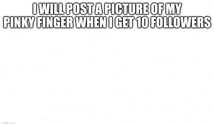 no | I WILL POST A PICTURE OF MY PINKY FINGER WHEN I GET 10 FOLLOWERS | image tagged in no | made w/ Imgflip meme maker