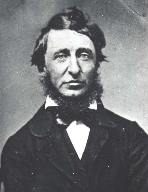 Henry David Thoreau Blank Meme Template