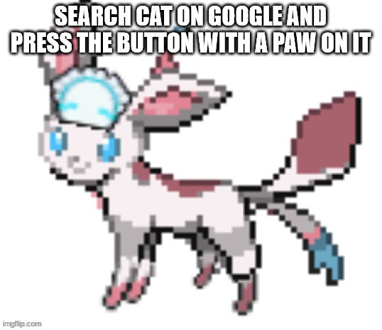 sylceon | SEARCH CAT ON GOOGLE AND PRESS THE BUTTON WITH A PAW ON IT | image tagged in sylceon | made w/ Imgflip meme maker