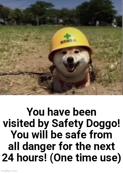 It's old but I kinda revamped it | You have been visited by Safety Doggo! You will be safe from all danger for the next 24 hours! (One time use) | image tagged in you have been visited by the safety doggo,dogs,dog | made w/ Imgflip meme maker