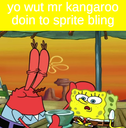 High Quality yo wut mr kangaroo doin to sprite bling Blank Meme Template