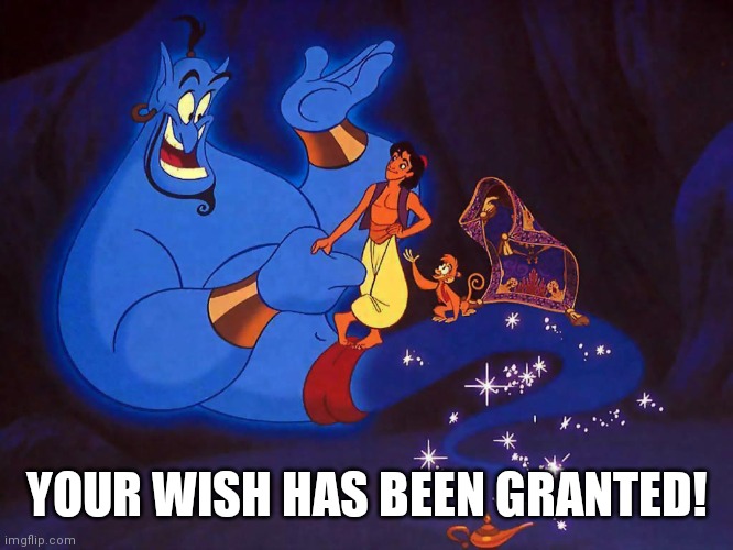 aladin | YOUR WISH HAS BEEN GRANTED! | image tagged in aladin | made w/ Imgflip meme maker