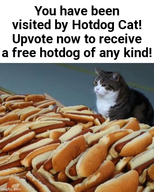 :0 | You have been visited by Hotdog Cat! Upvote now to receive a free hotdog of any kind! | image tagged in cat hotdogs,cats,cat | made w/ Imgflip meme maker