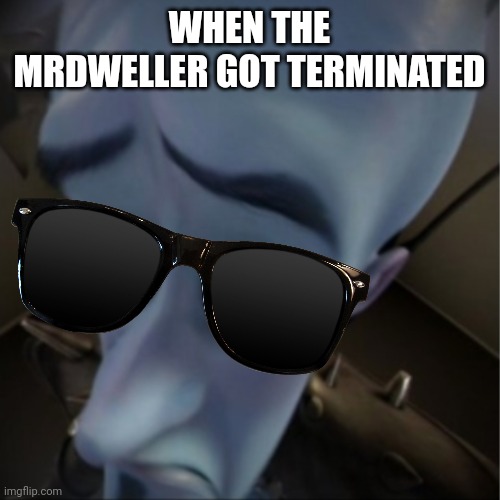 When the MrDweller got terminated | WHEN THE MRDWELLER GOT TERMINATED | image tagged in megamind peeking,no bitches | made w/ Imgflip meme maker