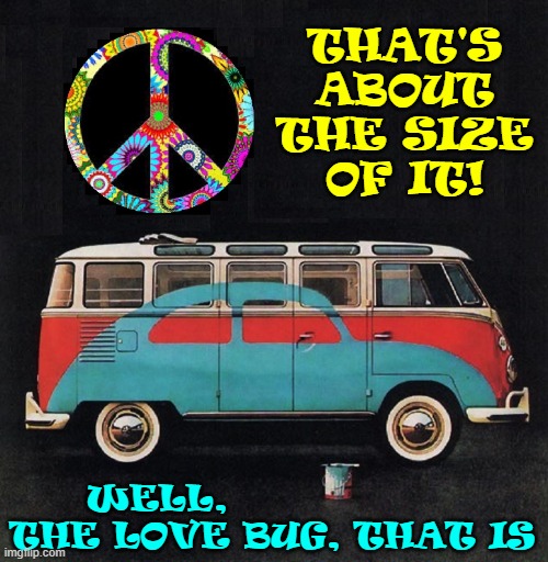 Who knew a Van could be that small?! |  THAT'S
ABOUT
THE SIZE
OF IT! WELL,                 
THE LOVE BUG, THAT IS | image tagged in vince vance,volkswagon,love bug,cars,vans,memes | made w/ Imgflip meme maker