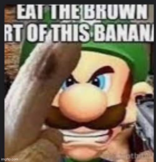 (KSDawg: NOOOOOO) | made w/ Imgflip meme maker
