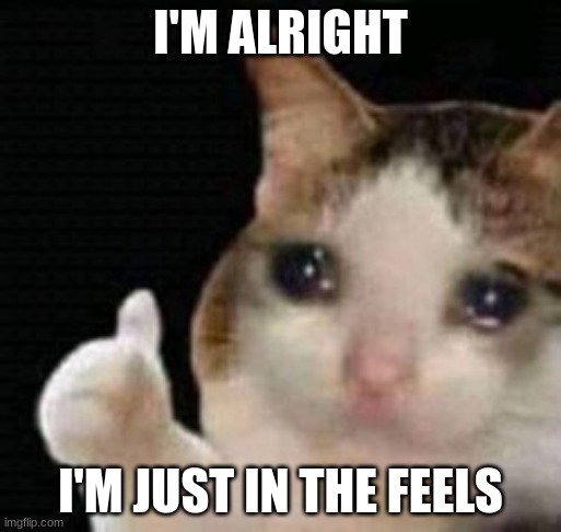 When you get in the feels at the wrong time | I'M ALRIGHT; I'M JUST IN THE FEELS | image tagged in crying cat i found on google | made w/ Imgflip meme maker