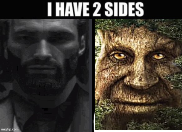 I have 2 sides | image tagged in mystical tree,giga chad,gigachad,i have 2 sides | made w/ Imgflip meme maker