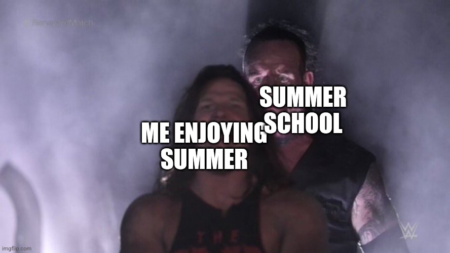 Don't you just hate it | SUMMER SCHOOL; ME ENJOYING SUMMER | image tagged in aj styles undertaker | made w/ Imgflip meme maker