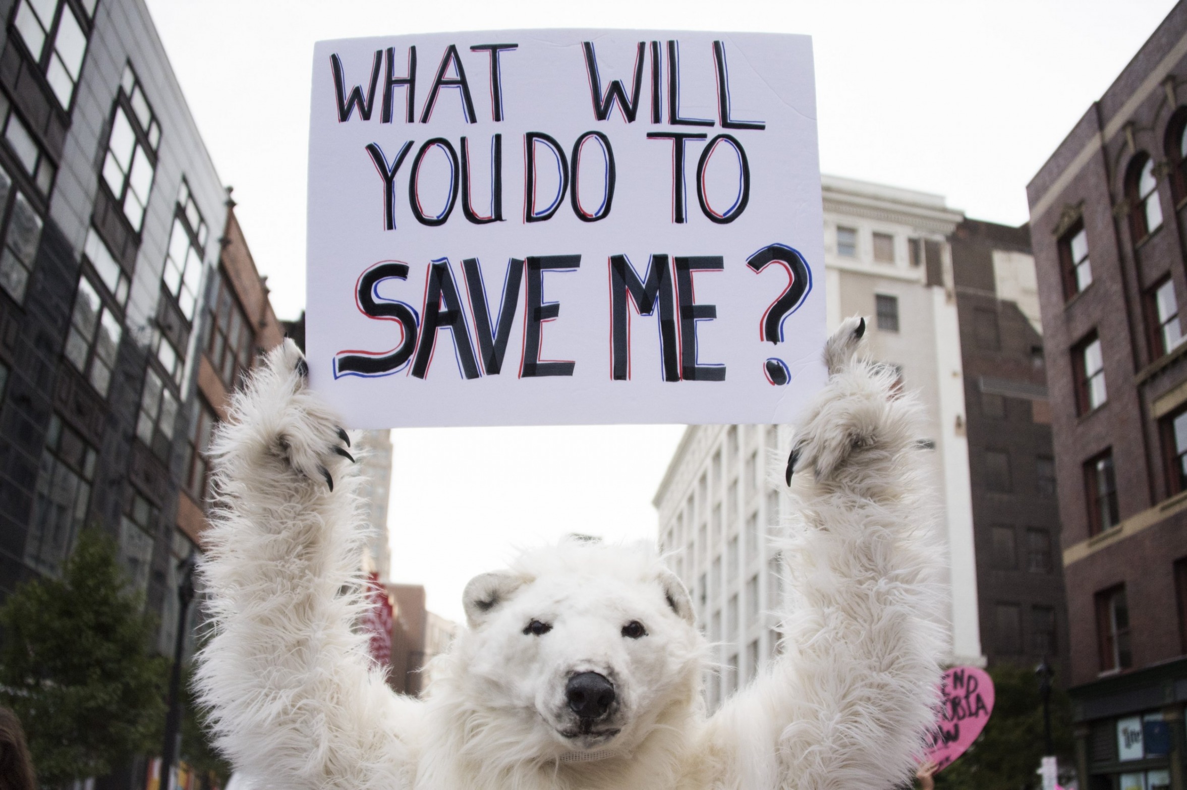 climate change protest Blank Meme Template