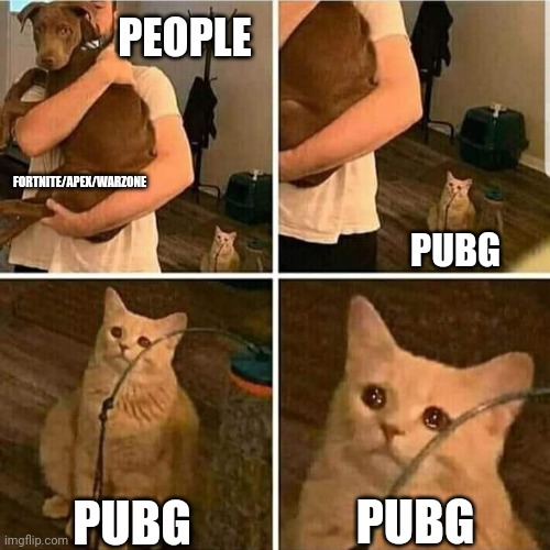 Why did EVERYBODY forget PUBG existed | PEOPLE; FORTNITE/APEX/WARZONE; PUBG; PUBG; PUBG | image tagged in sad cat holding dog | made w/ Imgflip meme maker