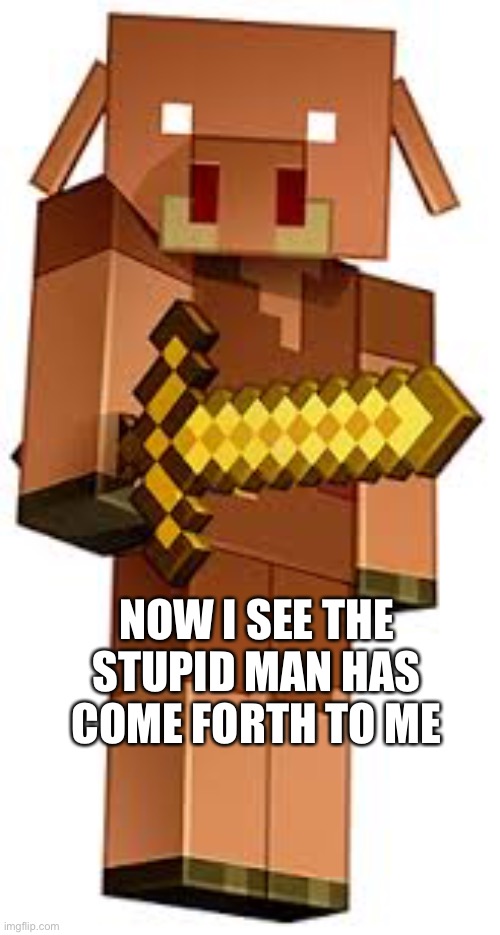 New meme template | NOW I SEE THE STUPID MAN HAS COME FORTH TO ME | image tagged in minecraft | made w/ Imgflip meme maker