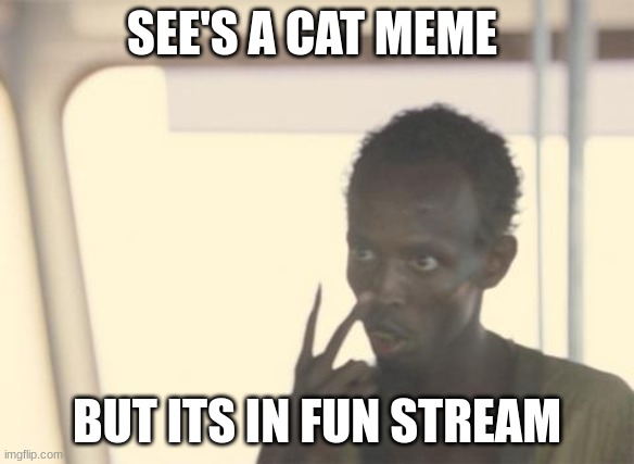 I'm The Captain Now Meme | SEE'S A CAT MEME; BUT ITS IN FUN STREAM | image tagged in memes,i'm the captain now | made w/ Imgflip meme maker