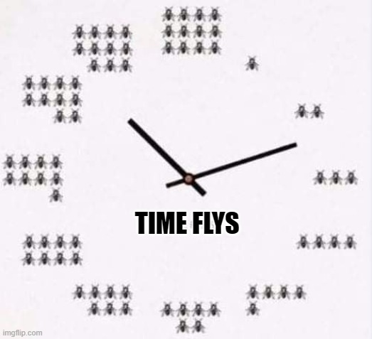 TIME FLYS | made w/ Imgflip meme maker