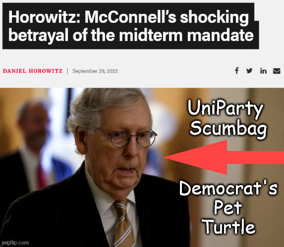 UniParty Scumbaggery | UniParty 
Scumbag; Democrat's
Pet
Turtle | image tagged in memes,political | made w/ Imgflip meme maker