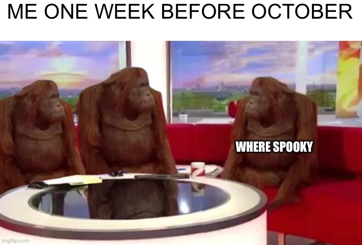 where monkey | ME ONE WEEK BEFORE OCTOBER; WHERE SPOOKY | image tagged in where monkey | made w/ Imgflip meme maker