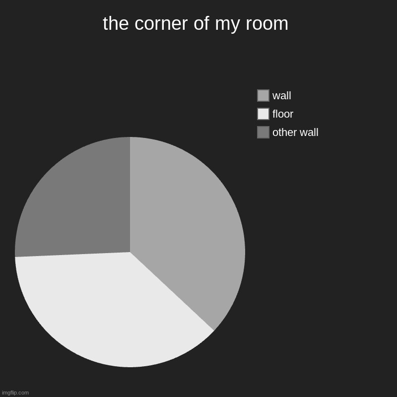 the corner of my room | other wall, floor, wall | image tagged in charts,pie charts | made w/ Imgflip chart maker