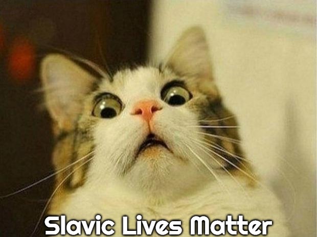 Scared Cat Meme | Slavic Lives Matter | image tagged in memes,scared cat,slavic,blm | made w/ Imgflip meme maker