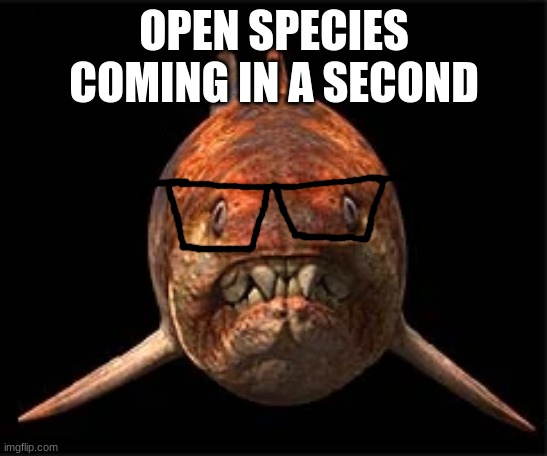 nerdunk | OPEN SPECIES COMING IN A SECOND | image tagged in nerdunk | made w/ Imgflip meme maker