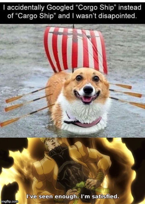 I will put this here because it got taken down in the fun stream | image tagged in corgi,boat,dog,water,jojo's bizarre adventure | made w/ Imgflip meme maker