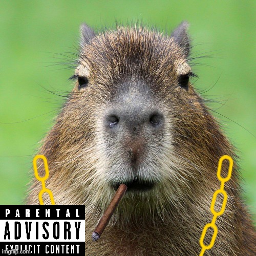 my album | image tagged in capybara | made w/ Imgflip meme maker