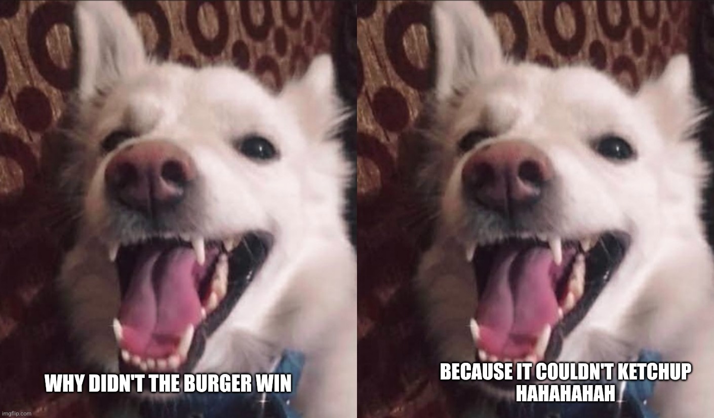 Doge hehe | BECAUSE IT COULDN'T KETCHUP
HAHAHAHAH; WHY DIDN'T THE BURGER WIN | image tagged in bad pun dog,dad joke dog,doge,hehe,hehe boi,meme | made w/ Imgflip meme maker