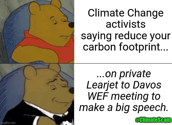 We All Must Make Sacrifices to enSlave The Planet. #ClimateScam | Climate Change activists saying reduce your carbon footprint... ...on private Learjet to Davos WEF meeting to make a big speech. #ClimateScam | image tagged in memes,tuxedo winnie the pooh,climate change,activism,liberal hypocrisy,the great awakening | made w/ Imgflip meme maker