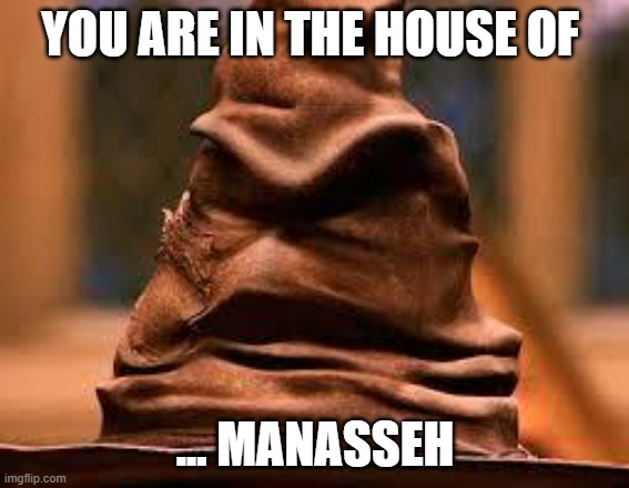 Harry Potter Sorting Hat | YOU ARE IN THE HOUSE OF; ... MANASSEH | image tagged in harry potter sorting hat | made w/ Imgflip meme maker