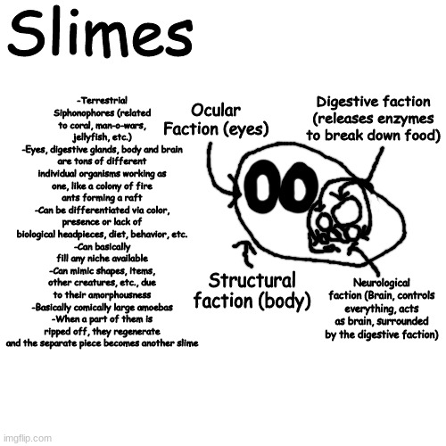 open species, fellas (blobie but better) | Slimes; -Terrestrial Siphonophores (related to coral, man-o-wars, jellyfish, etc.)
-Eyes, digestive glands, body and brain are tons of different individual organisms working as one, like a colony of fire ants forming a raft
-Can be differentiated via color, presence or lack of biological headpieces, diet, behavior, etc.
-Can basically fill any niche available
-Can mimic shapes, items, other creatures, etc., due to their amorphousness
-Basically comically large amoebas
-When a part of them is ripped off, they regenerate and the separate piece becomes another slime; Digestive faction (releases enzymes to break down food); Ocular Faction (eyes); Structural faction (body); Neurological faction (Brain, controls everything, acts as brain, surrounded by the digestive faction) | made w/ Imgflip meme maker