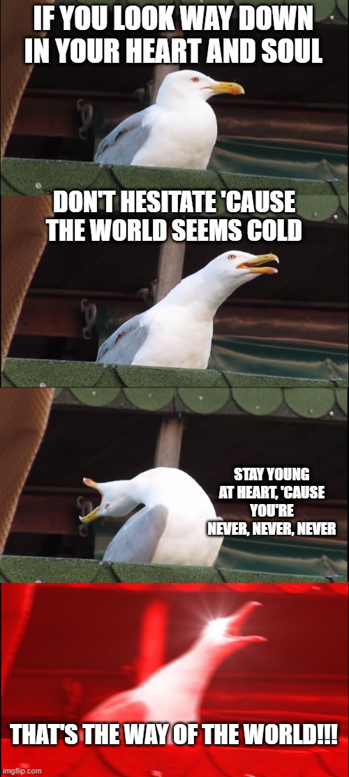 Earth, Wind and Fire | IF YOU LOOK WAY DOWN IN YOUR HEART AND SOUL; DON'T HESITATE 'CAUSE THE WORLD SEEMS COLD; STAY YOUNG AT HEART, 'CAUSE YOU'RE NEVER, NEVER, NEVER; THAT'S THE WAY OF THE WORLD!!! | image tagged in memes,inhaling seagull | made w/ Imgflip meme maker