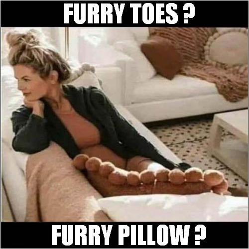 You Decide ! | FURRY TOES ? FURRY PILLOW ? | image tagged in you decide,furry,toes,pillow | made w/ Imgflip meme maker