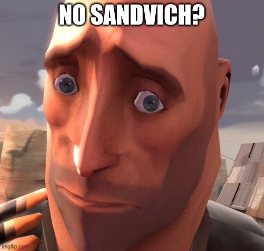 no sandvich? | NO SANDVICH? | image tagged in no bitches heavy tf2 | made w/ Imgflip meme maker