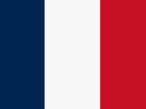 The French Republic Blank Meme Template