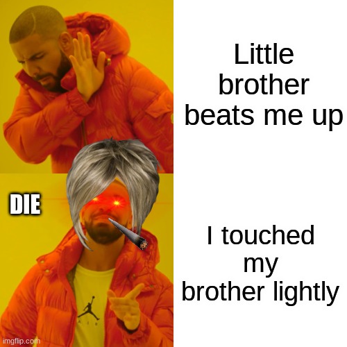 Why | Little brother beats me up; I touched my brother lightly; DIE | image tagged in memes,drake hotline bling | made w/ Imgflip meme maker