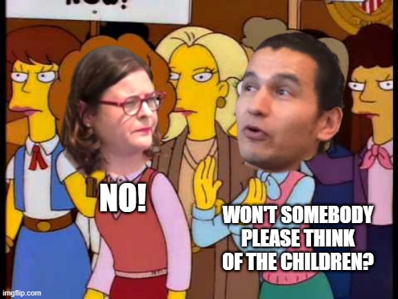 WON'T SOMEBODY PLEASE THINK OF THE CHILDREN? NO! | made w/ Imgflip meme maker