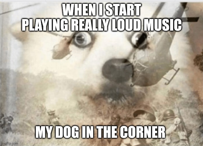 PTSD dog | WHEN I START PLAYING REALLY LOUD MUSIC; MY DOG IN THE CORNER | image tagged in ptsd dog | made w/ Imgflip meme maker