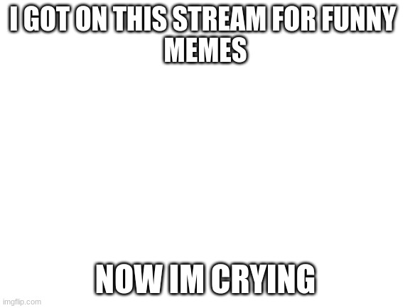 its sad really |  I GOT ON THIS STREAM FOR FUNNY 
MEMES; NOW IM CRYING | image tagged in blank white template | made w/ Imgflip meme maker