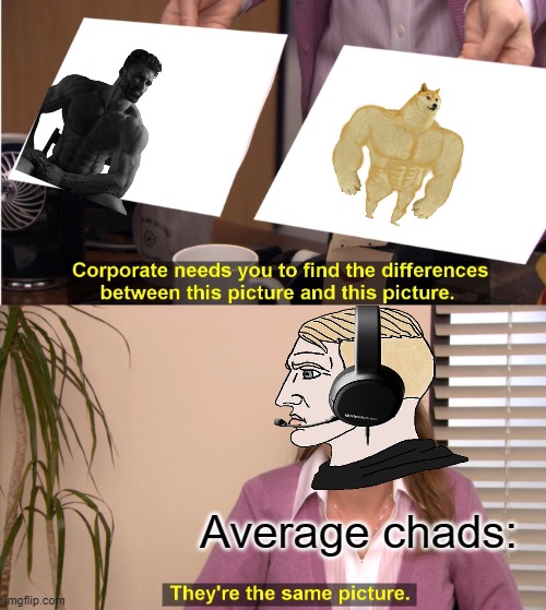 They're The Same Picture Meme | Average chads: | image tagged in memes,they're the same picture | made w/ Imgflip meme maker