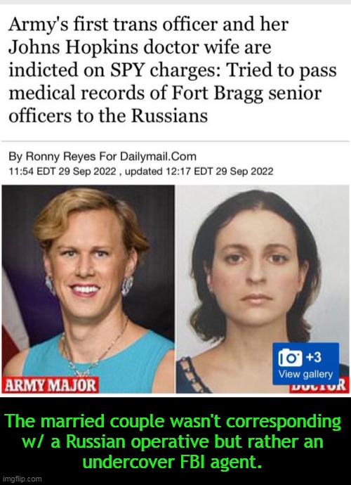 Maj. Henry said she was motivated by patriotism toward Russia. | The married couple wasn't corresponding 
w/ a Russian operative but rather an 
undercover FBI agent. | image tagged in politics,breaking news,army,medical records,russia,fbi | made w/ Imgflip meme maker