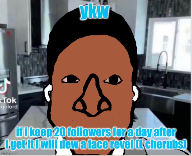 200* (no balls) *cries* | ykw; if i keep 20 followers for a day after i get it i will dew a face revel (L cherubs) | image tagged in n | made w/ Imgflip meme maker