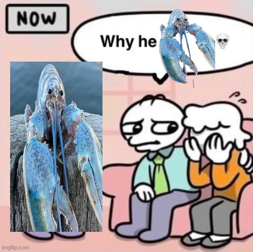 ? | image tagged in why he ourple | made w/ Imgflip meme maker