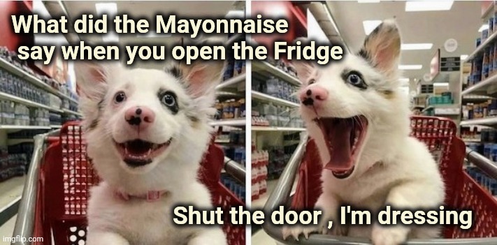 Happy Puppy | What did the Mayonnaise
 say when you open the Fridge Shut the door , I'm dressing | image tagged in happy puppy | made w/ Imgflip meme maker